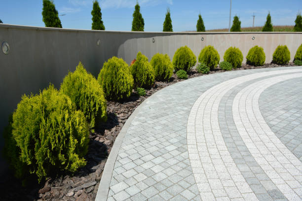 Trusted Olivette, MO Driveway Pavers Experts